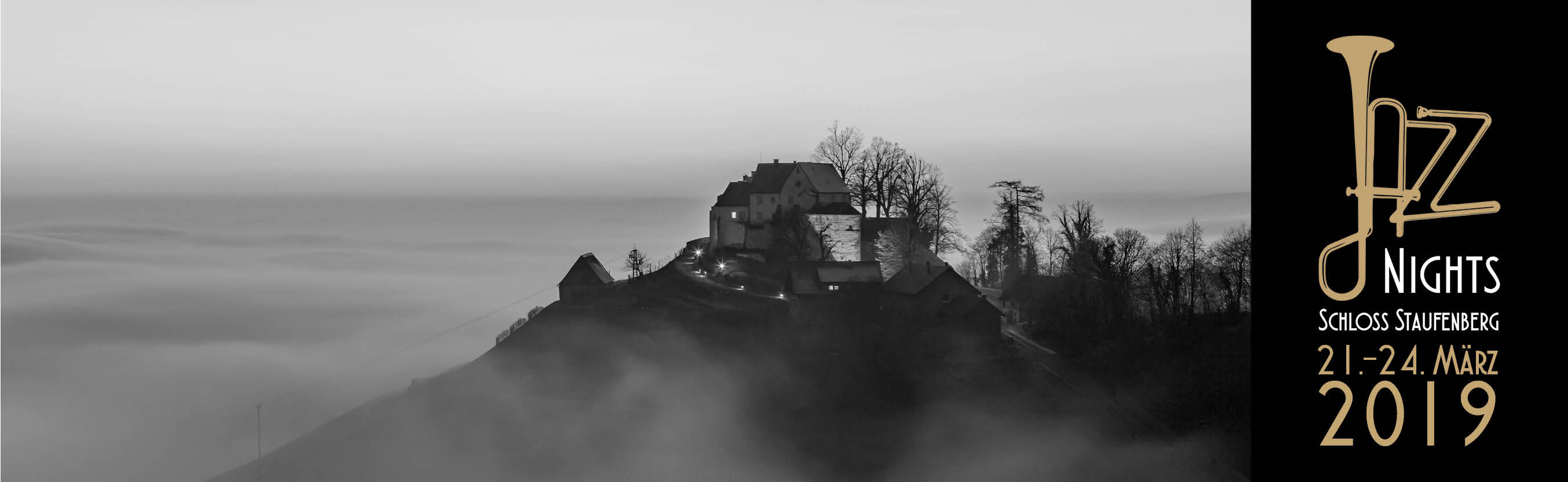Weinreben Panorama Schloss Staufenberg